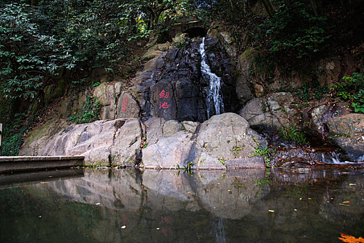 soi cau net 247