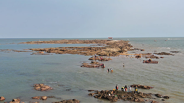 trang đánh số đề uy tín